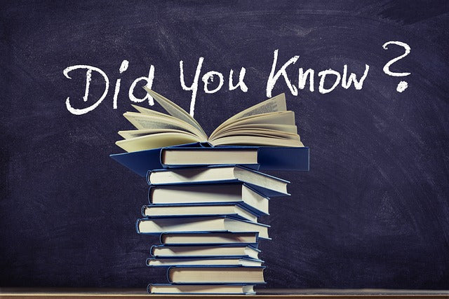 タンバーグって知ってる?簡単レシピとお取り寄せ方法をご紹介