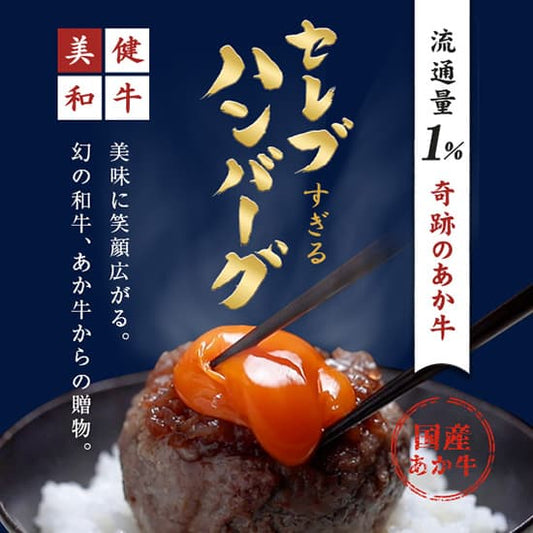 セレブすぎるハンバーグと記されたネイビーパッケージに流通量1パーセントの奇跡のあか牛と国産あか牛の表示が並び、白米の上に卵黄をのせたハンバーグが盛りつけられている