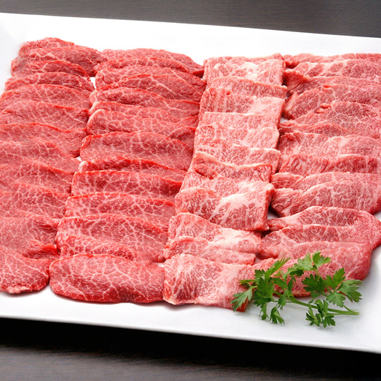 カルビと赤身2種の飛騨牛焼肉スライスを白い長皿に並べ、パセリを添えた盛り付けをダークな背景で捉え肉の色合いが際立つ俯瞰カット