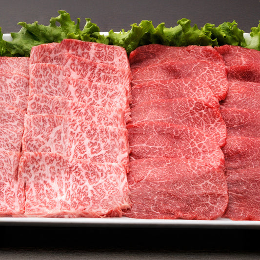 飛騨牛の希少部位トウガラシとシンシンを白皿に盛り付けた食べ比べセット。左の細かな霜降りと右の鮮やかな赤身が並ぶ