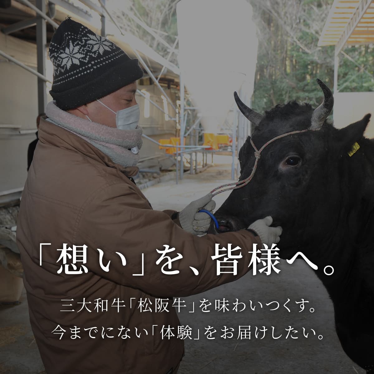 松阪牛 A5等級 特上カルビステーキ 100g×4枚