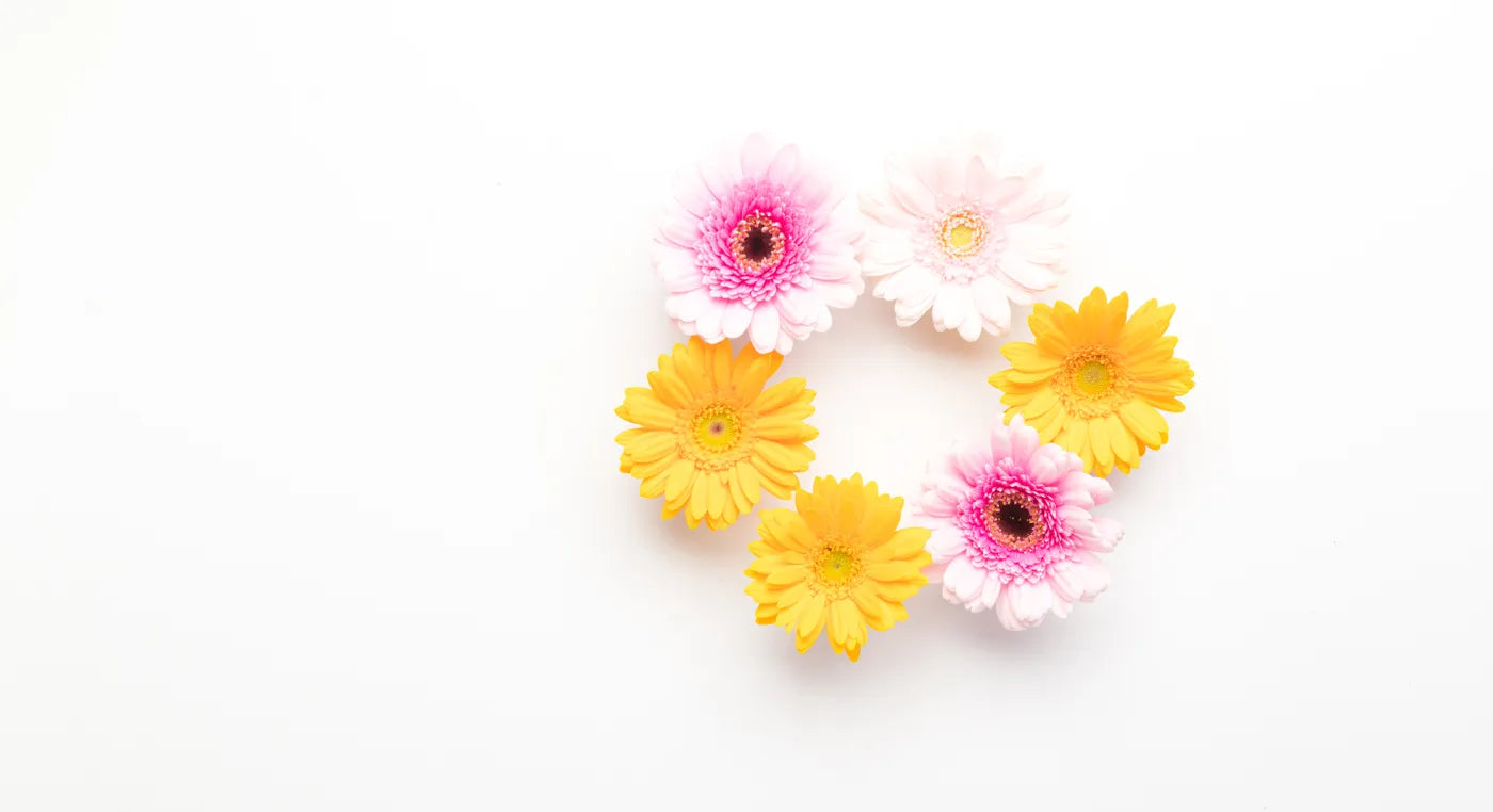 お歳暮に肉ギフト！個人にも法人にも喜ばれるおすすめを紹介