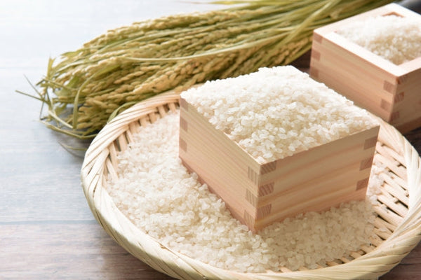 焼肉用のご飯があるって本当！？お肉のうまさが引き立つ専用米