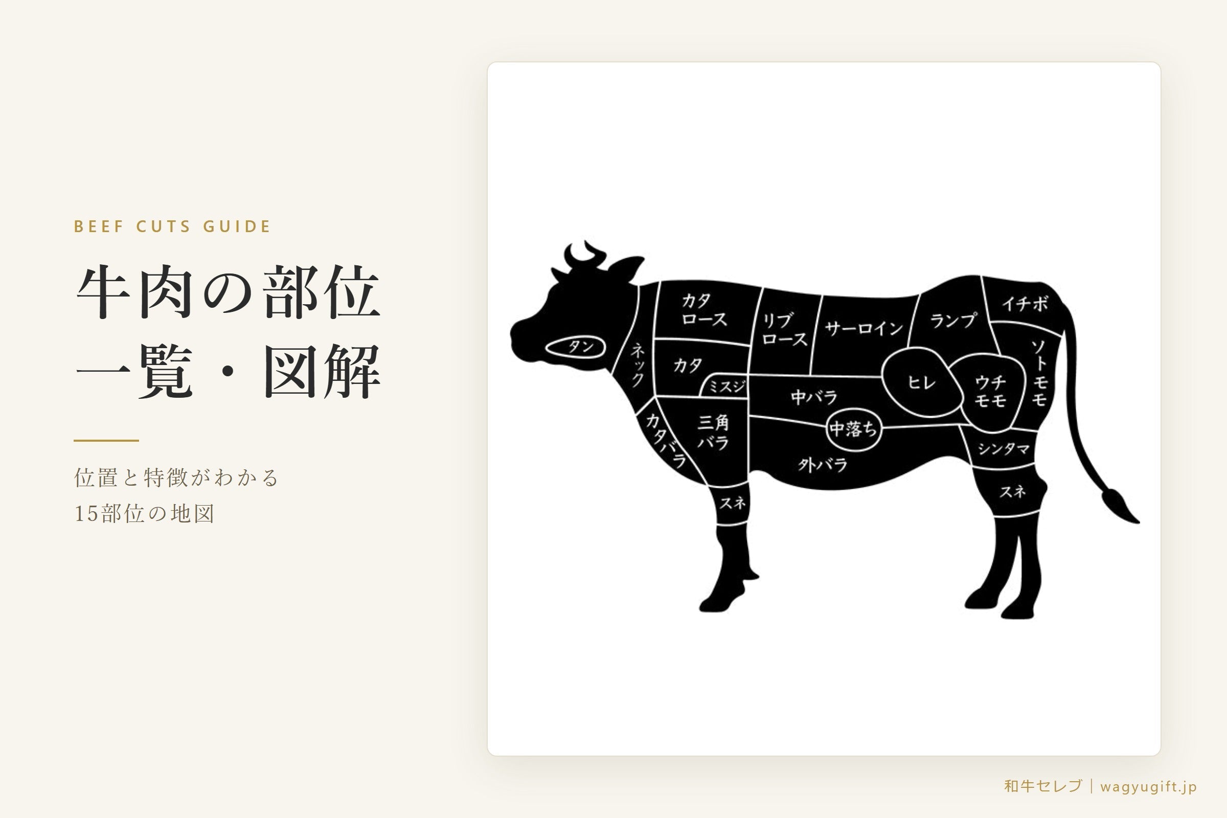 牛肉の部位一覧【図解マップ付き】｜名称・特徴・向いている料理を15部位で徹底解説