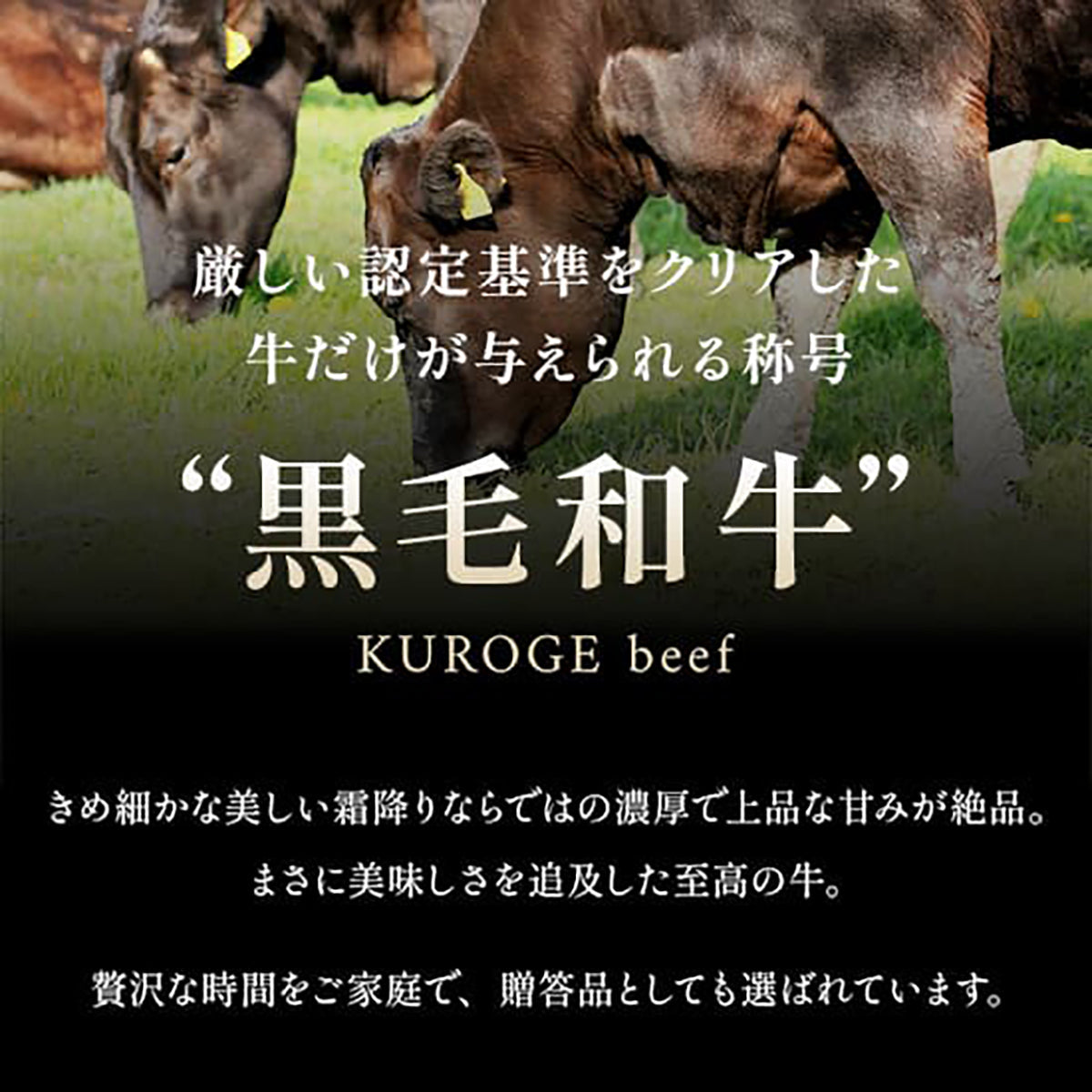 年度末の贈答用お肉ギフト｜和牛