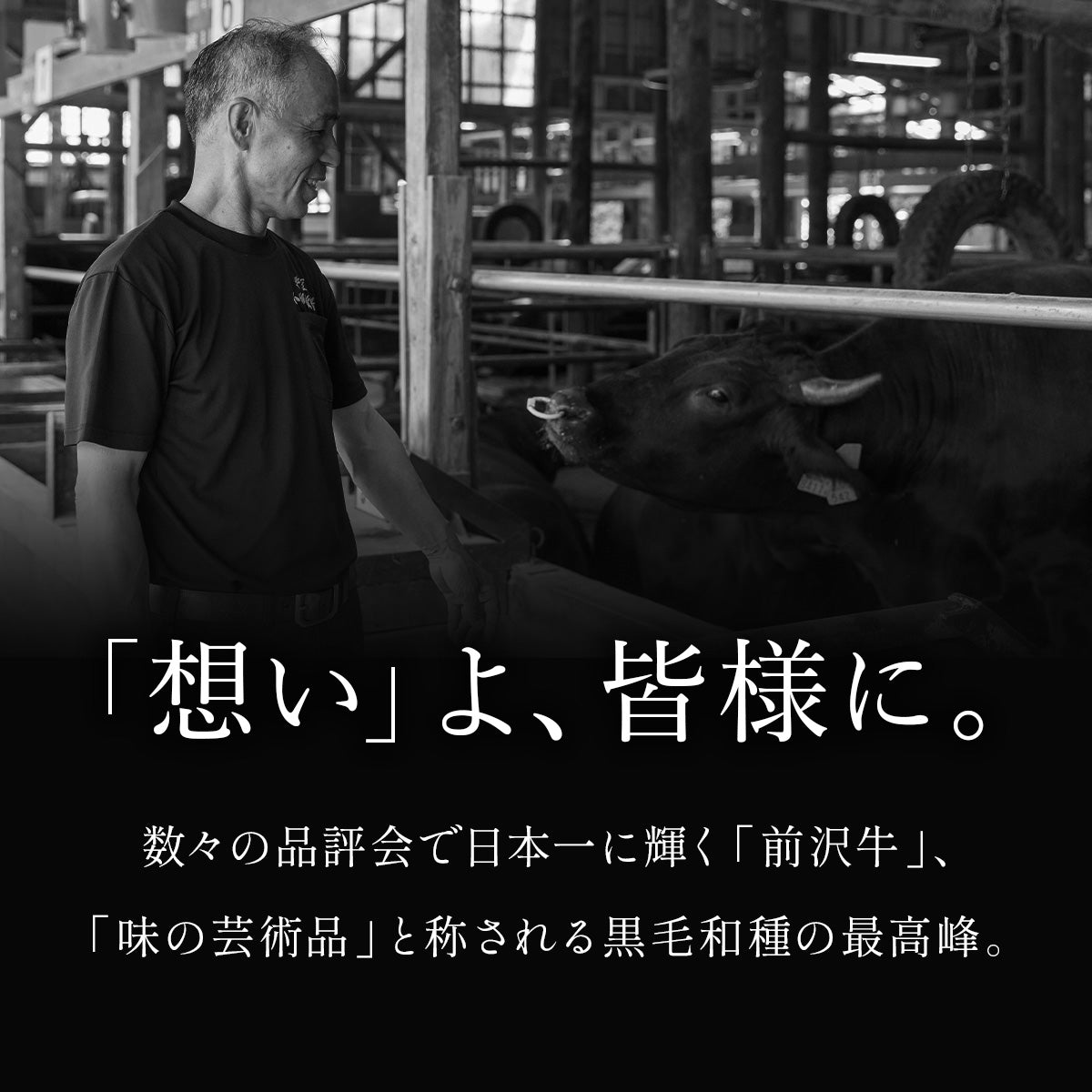 初任給のお肉ギフト｜和牛