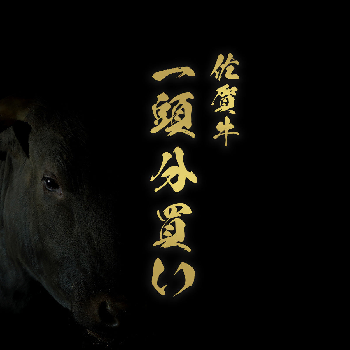 佐賀牛 牛一頭分買い 一括納品
