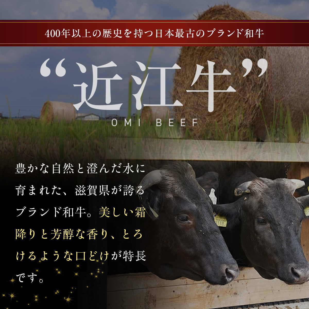 近江牛 2段重 4種 焼肉＆スライスセット 280g