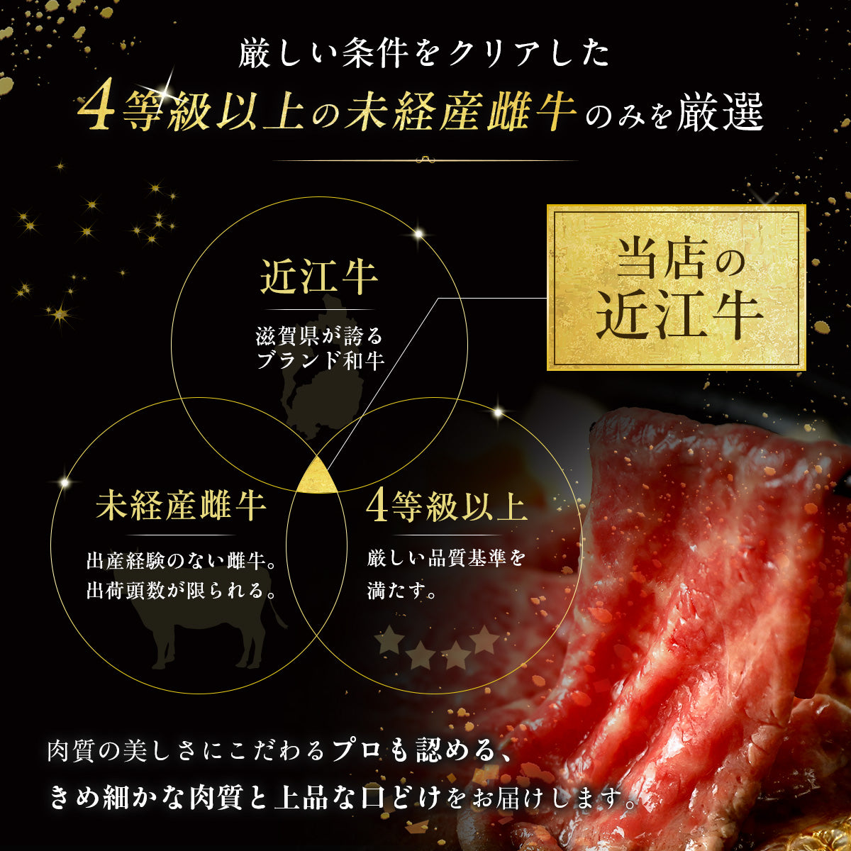 近江牛 2段重 4種 焼肉＆スライスセット 280g