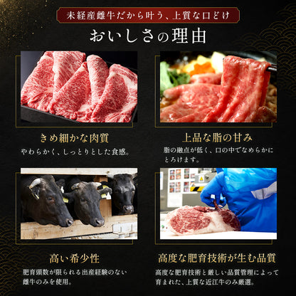 近江牛 2段重 4種 焼肉＆スライスセット 280g
