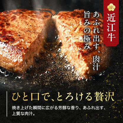 松阪牛＆神戸牛ハンバーグ×6個（各3個）