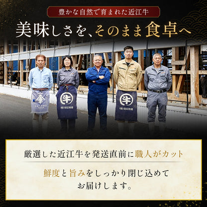 近江牛 2段重 4種 焼肉＆スライスセット 280g