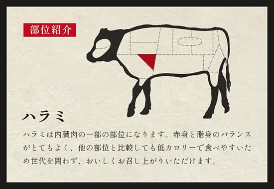 焼肉 ハラミ 900g