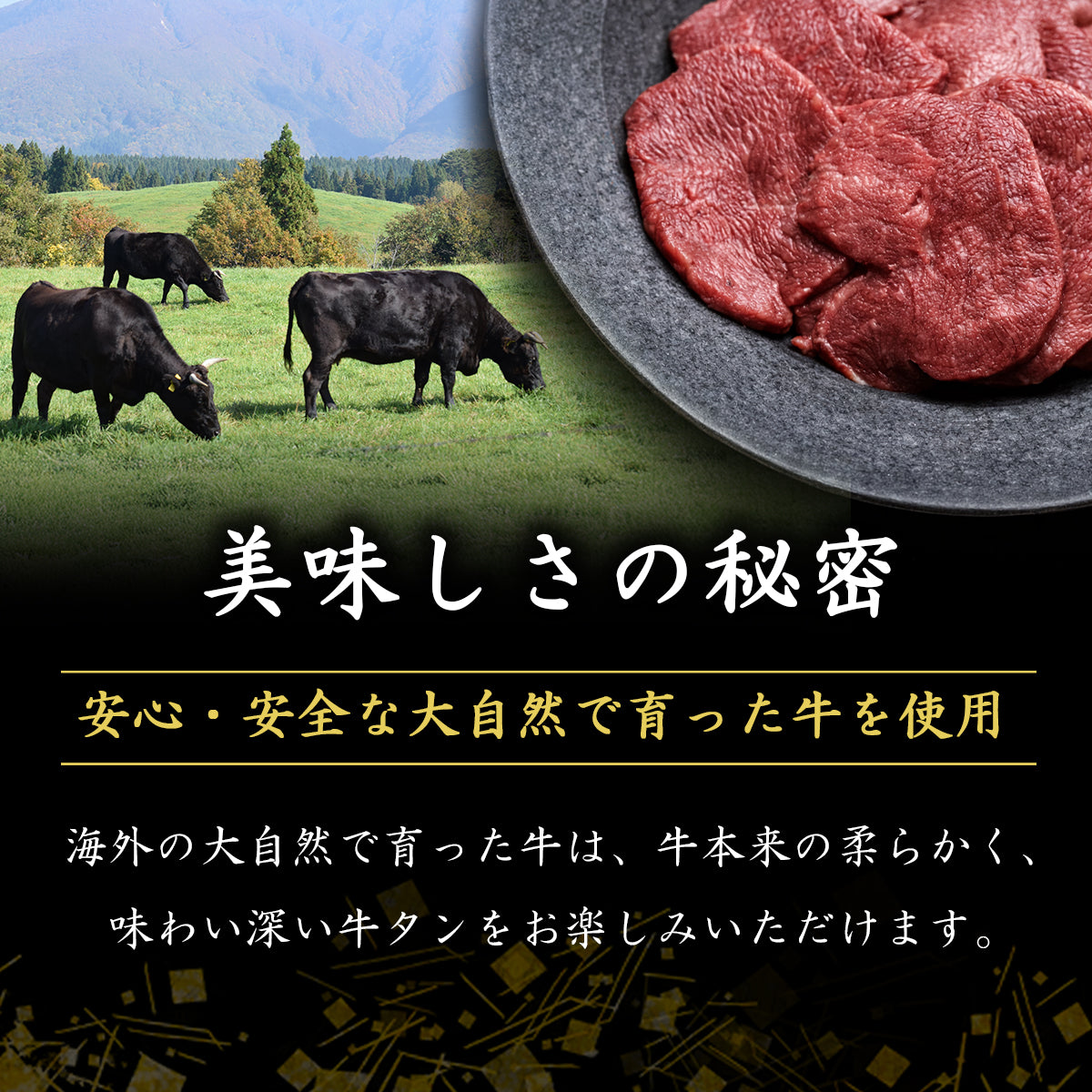 牛タンスライス(輸入)  900g
