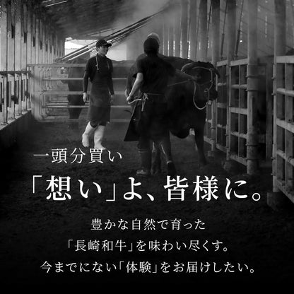 長崎和牛 牛半頭分買い　24分割納品（1年以内）
