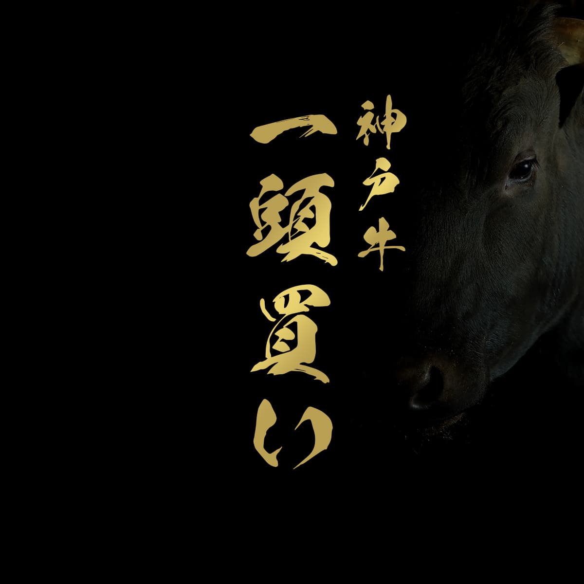 和牛セレブの神戸牛一頭買いと金の筆文字が記された漆黒の背景に、黒毛和牛の横顔がシルエット状に浮かび上がるメインビジュアル