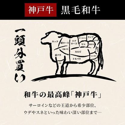 黒毛和牛の部位図解イラストにネック・肩ロース・リブロース・サーロイン・ヒレ・カルビなど各部位名が記され、神戸牛一頭分買いの全体像を説明している