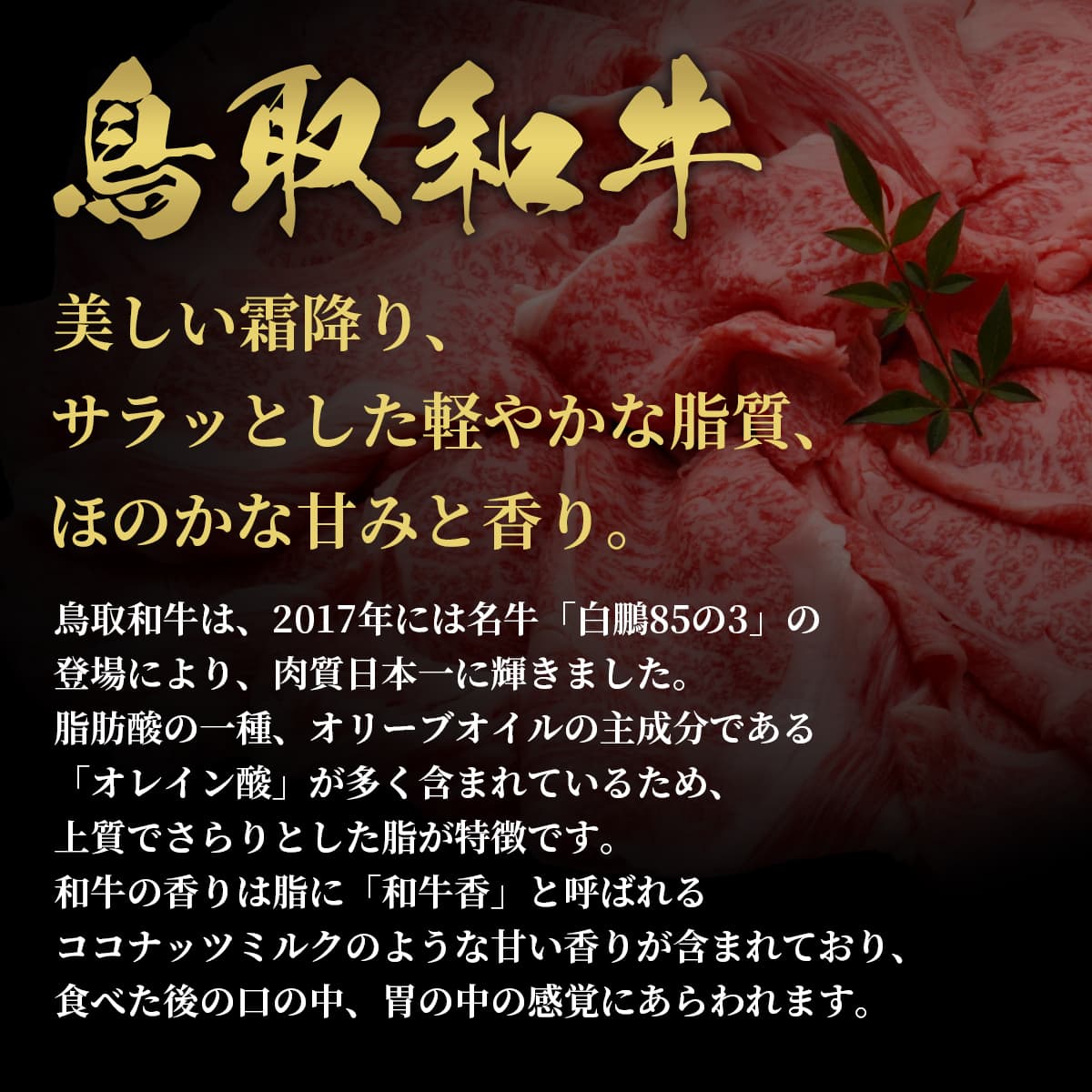 鳥取和牛 牛一頭分（一括配送）
