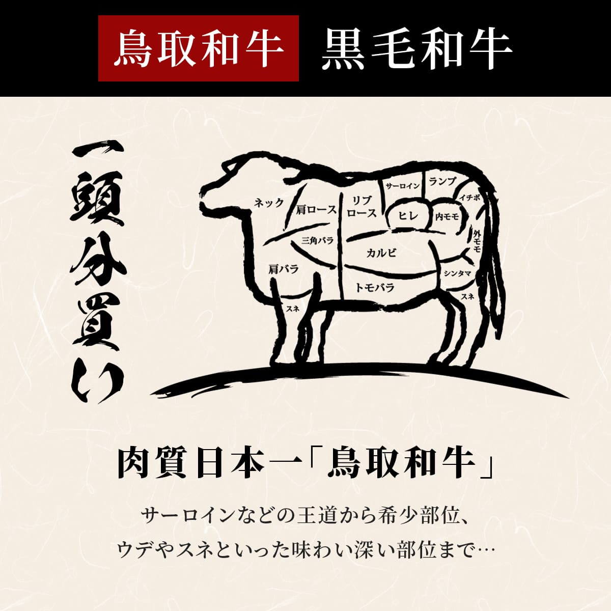 鳥取和牛 牛一頭分（12分割配送）