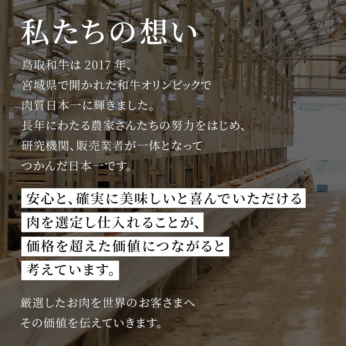 鳥取和牛 牛一頭分（24分割配送）