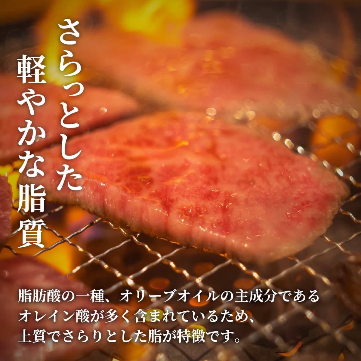 鳥取和牛 牛一頭分（24分割配送）