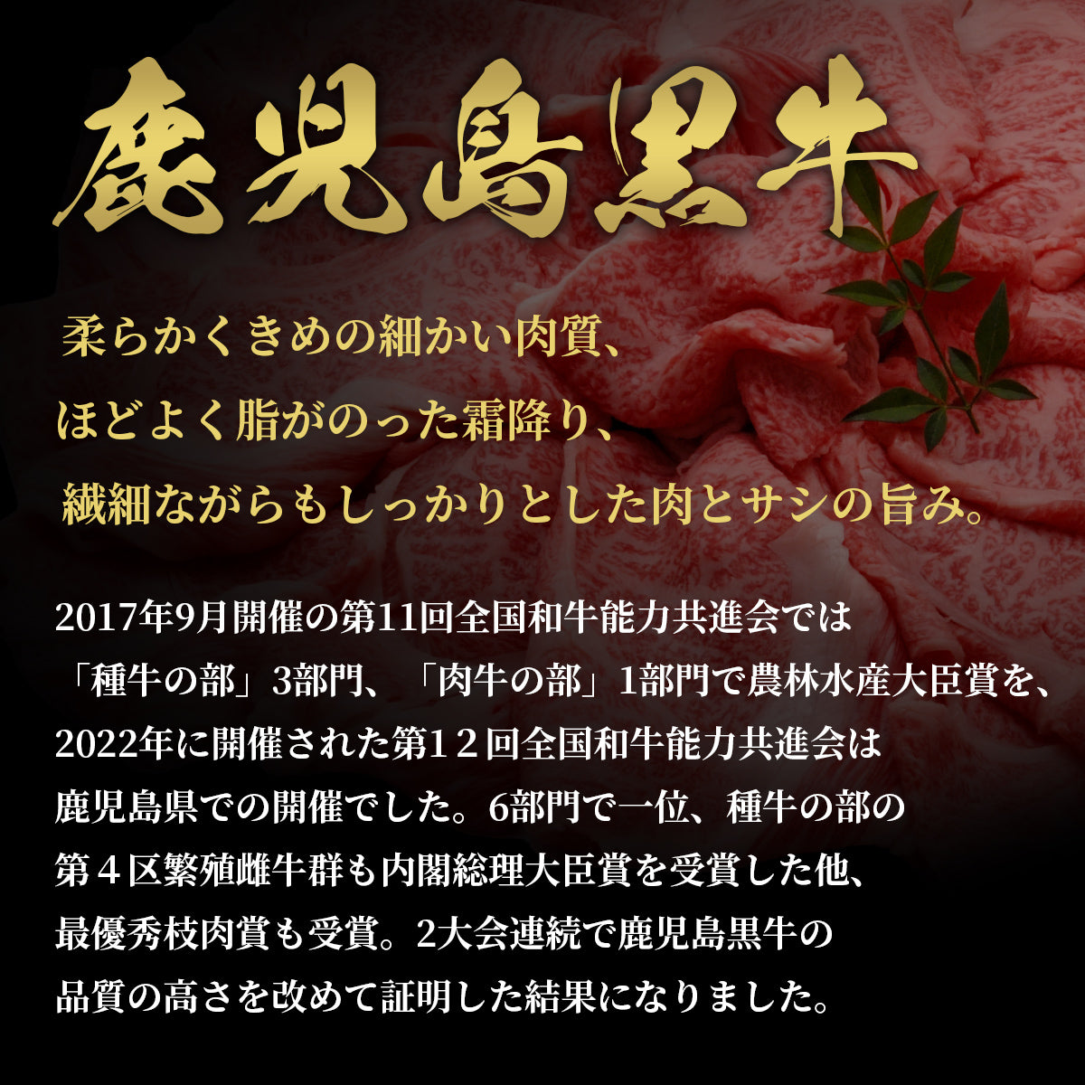 鹿児島うなぎカット済 蒲焼80g＋鹿児島黒牛 A5赤身ミニステーキ150g （約80g×2枚）