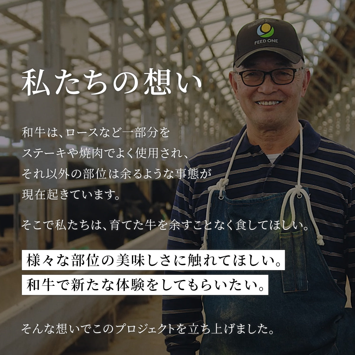 鹿児島うなぎカット済 蒲焼80g＋鹿児島黒牛 A5モモサイコロステーキ100g