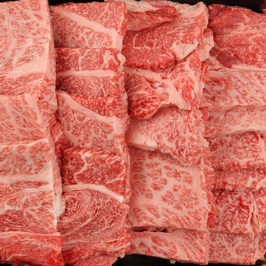 飛騨牛肩ロースの生肉が並べられ、きめ細かな霜降りが赤身全体に均一に広がり白い脂肪交雑のコントラストが一面に映し出されている