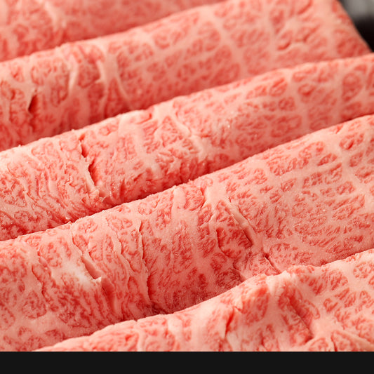 飛騨牛リブロースの霜降りを間近で捉えたアップ、きめ細かい脂の網目が肉全体に広がっている
