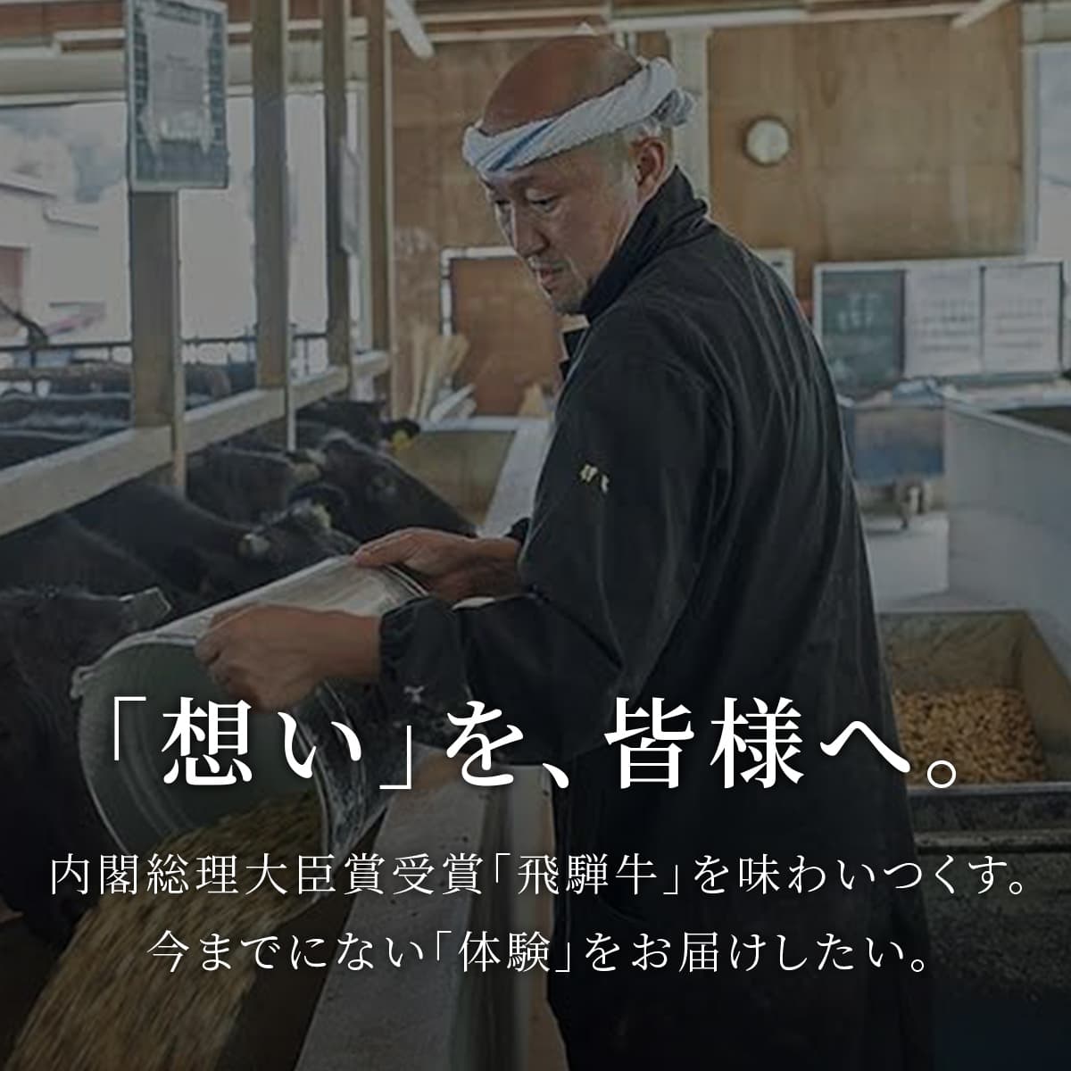 牛舎で飼料を与える生産者の姿と内閣総理大臣賞受賞の飛騨牛を味わいつくすという想いを伝えるメッセージが重なっている