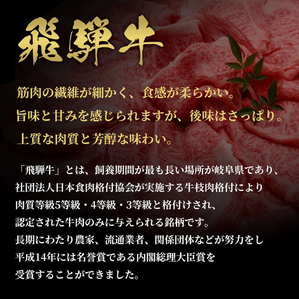 飛騨牛の特徴を解説したテキストに重ねて薄切り霜降り和牛肉が配置され、筋肉繊維が細かく柔らかい食感と旨味の説明が記されている