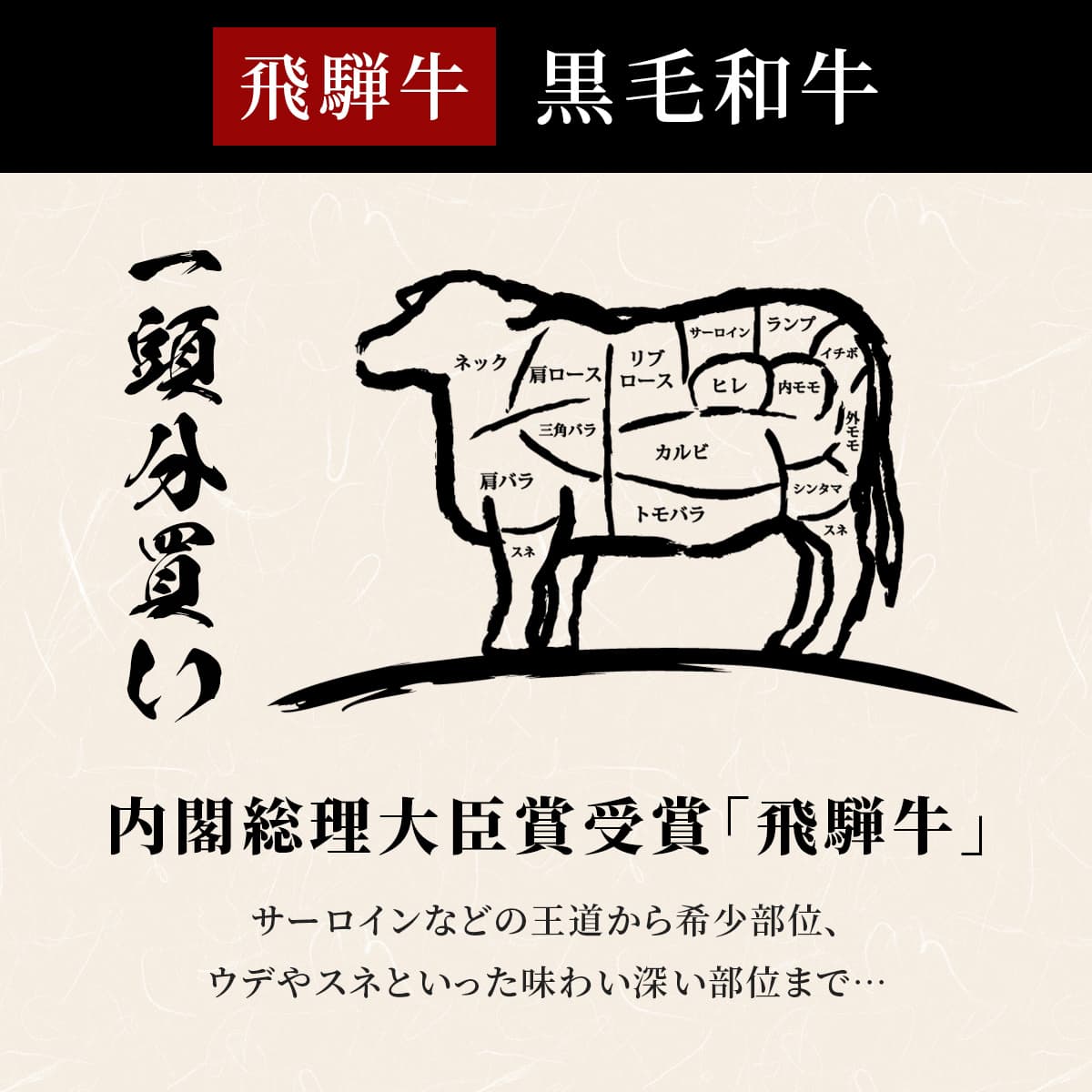 飛騨牛黒毛和牛の部位図。牛のシルエットにサーロイン、カルビ、ヒレ、トモバラなど各部位名が記され、一頭分買いの内容が視覚的に示されている