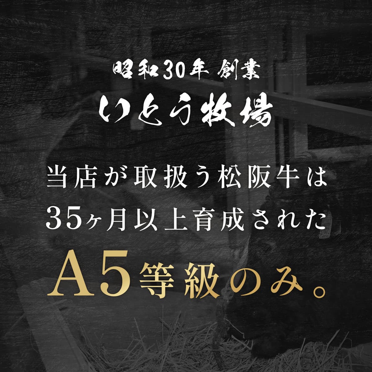 花盛牛タン＆松阪牛  焼肉4品食べ比べセット200g（チリ産牛タン2種＆国産牛2種）