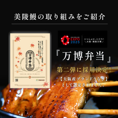 フィレ鰻２尾※白焼