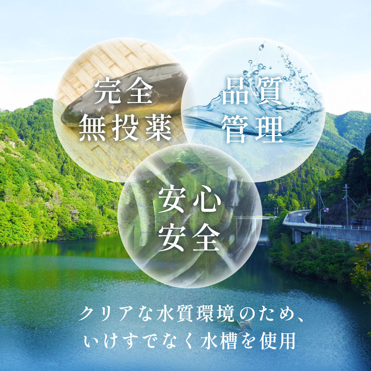 食べ比べ フィレ鰻 蒲焼1尾＋白焼1尾