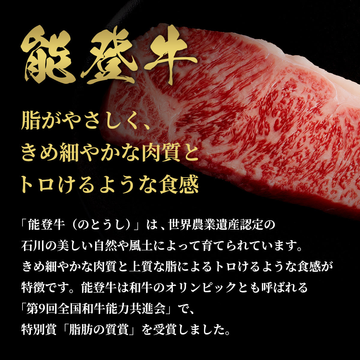 能登牛 サーロインステーキ 240g