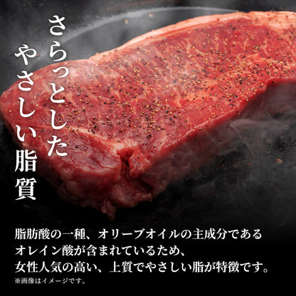 能登牛 サーロインステーキ 240g