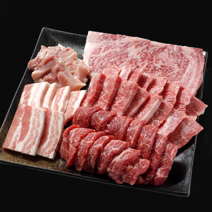 宮崎牛 焼肉 5種食べ比べ 500g