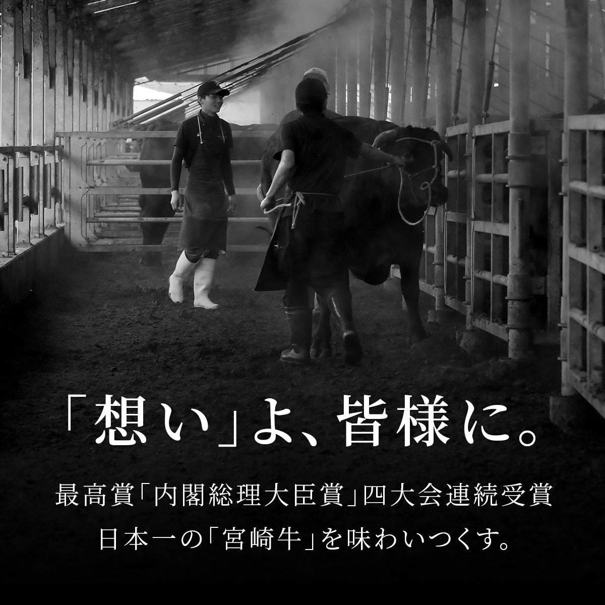 宮崎牛 特上赤身100g＋特選バラ100g すき焼き・しゃぶしゃぶ用スライス食べ比べ