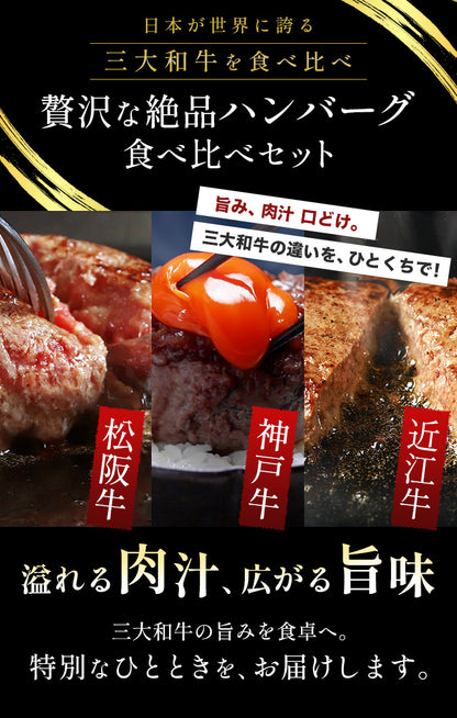 日本三大和牛（神戸牛×松阪牛×近江牛）ハンバーグ 食べ比べ 80g×5個