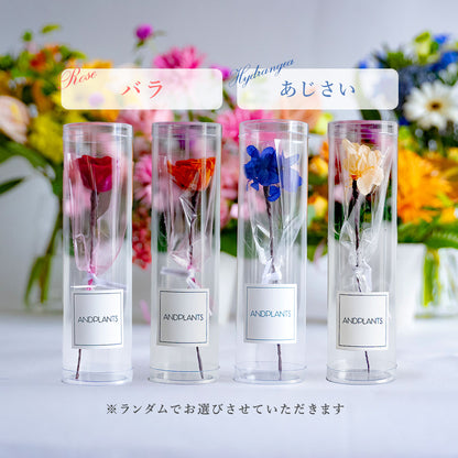 フラワーギフト付き あか牛ハートハンバーグ100g×2個、国産牛100%ハートハンバーグ100g×2個