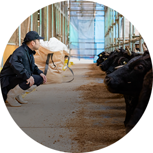 米沢牛　米澤佐藤畜産