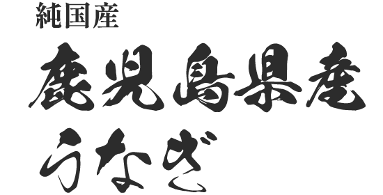 純国産 鹿児島県産うなぎ