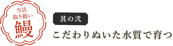 当店取り扱い鰻 其の弍 こだわりぬいた水質で育つ
