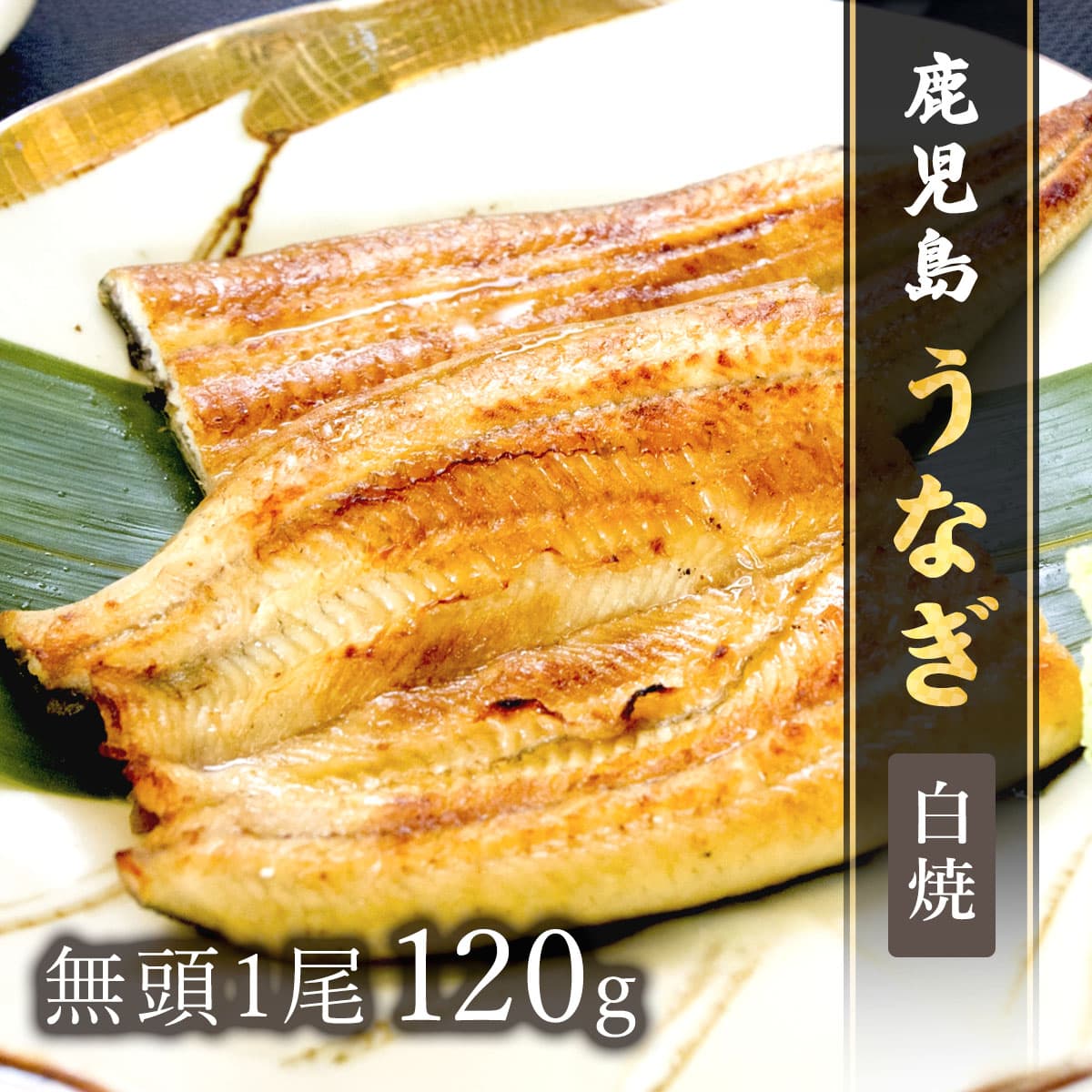 ★代理店専用【引出物】鹿児島うなぎ無頭 白焼1尾120g × 1P