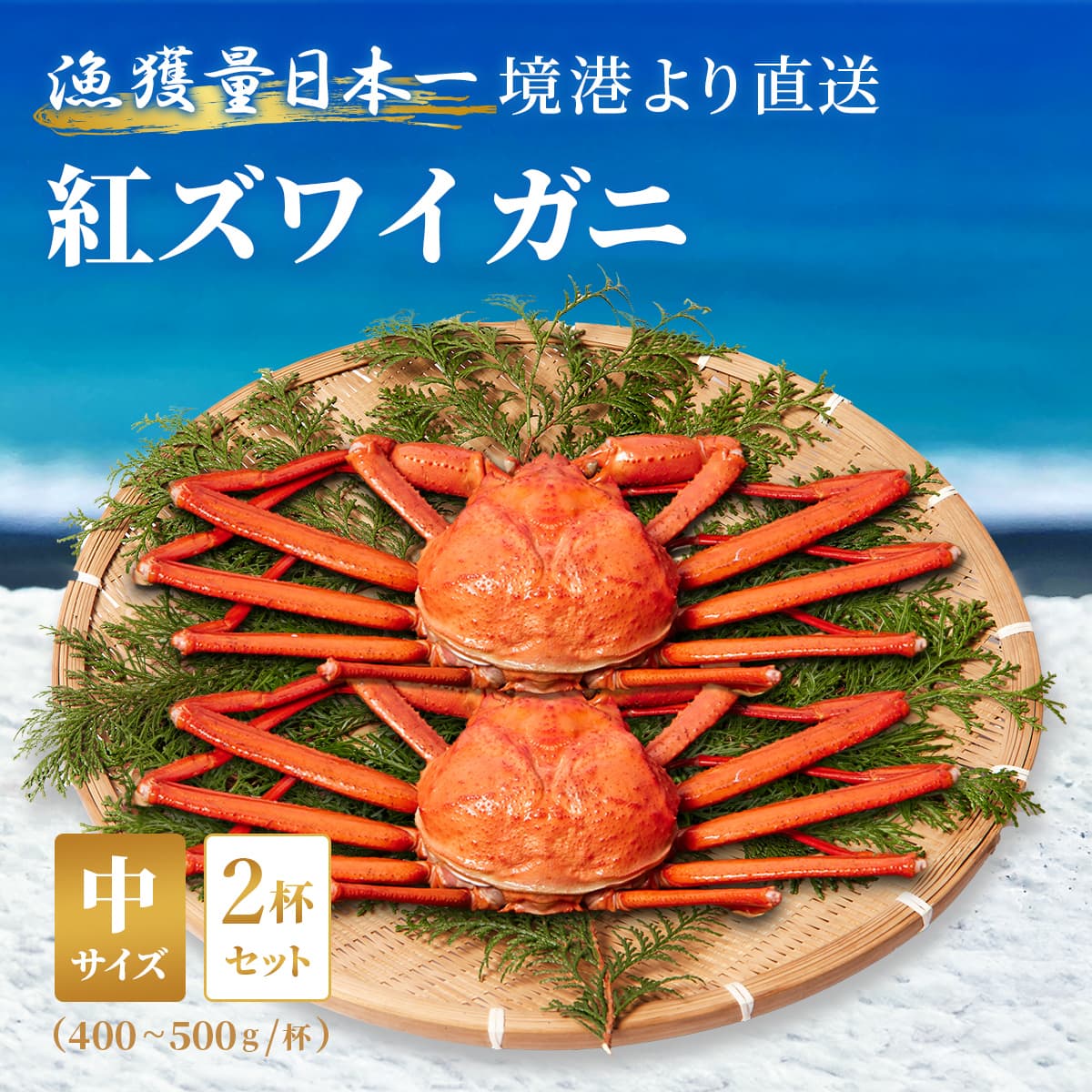 ★代理店専用【引出物】ズワイガニ（紅ズワイ）中2杯　400g～500g