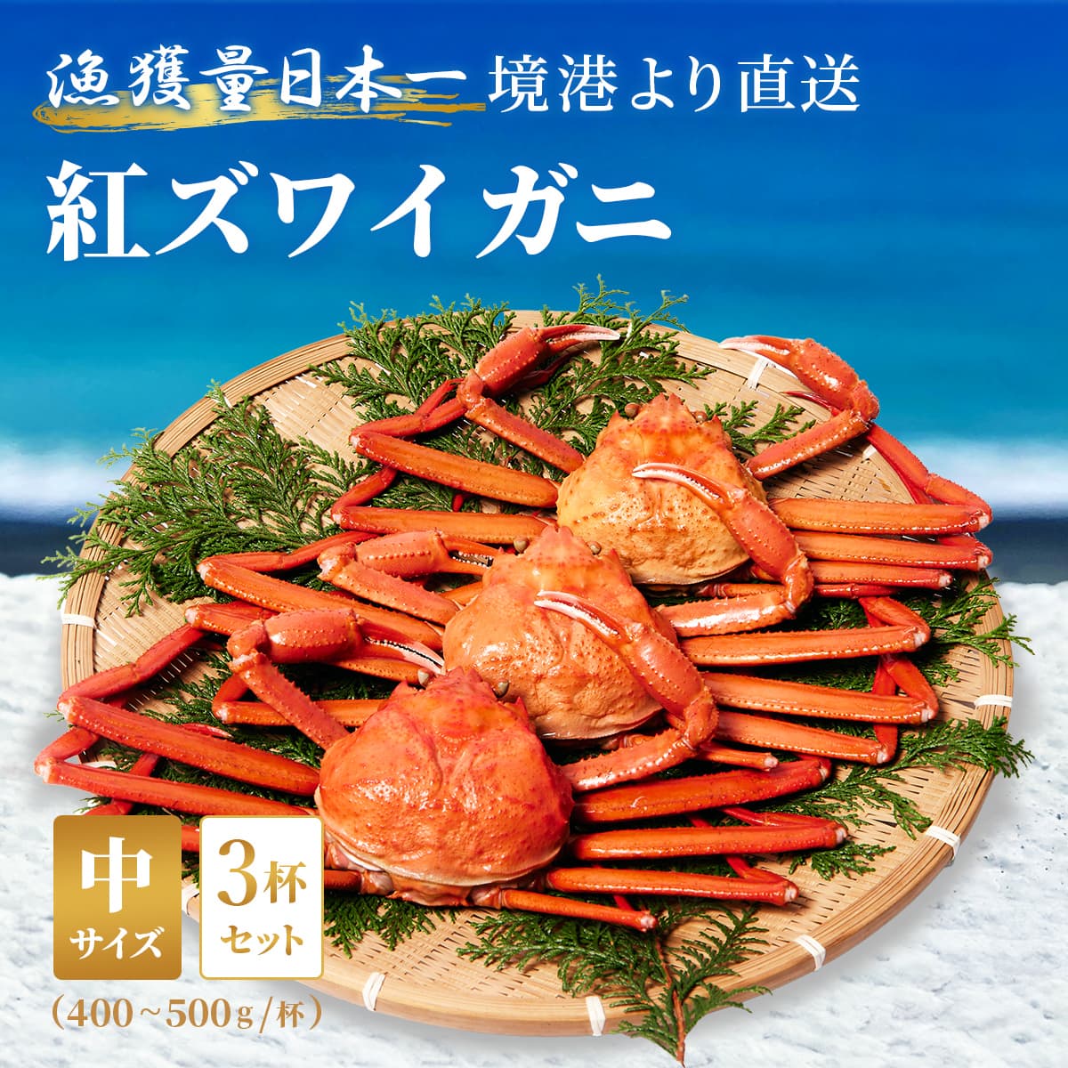 ★代理店専用【引出物】ズワイガニ（紅ズワイ）中3杯　400g～500g