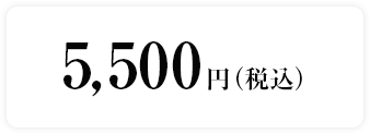 5,500円（税込）