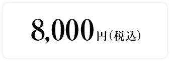 8,000円（税込）