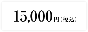 15,000円（税込）